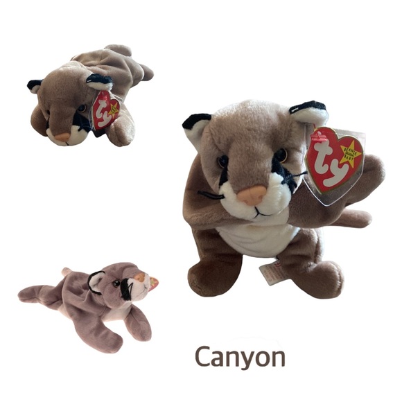 Canyon Ty Retired Original Beanie Baby - Picture 1 of 13
